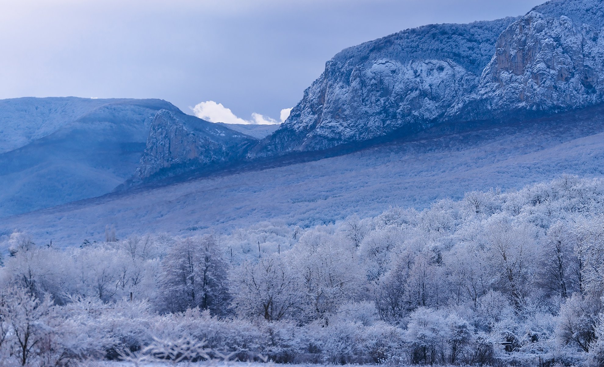 Крым зима Бельбекская Долина