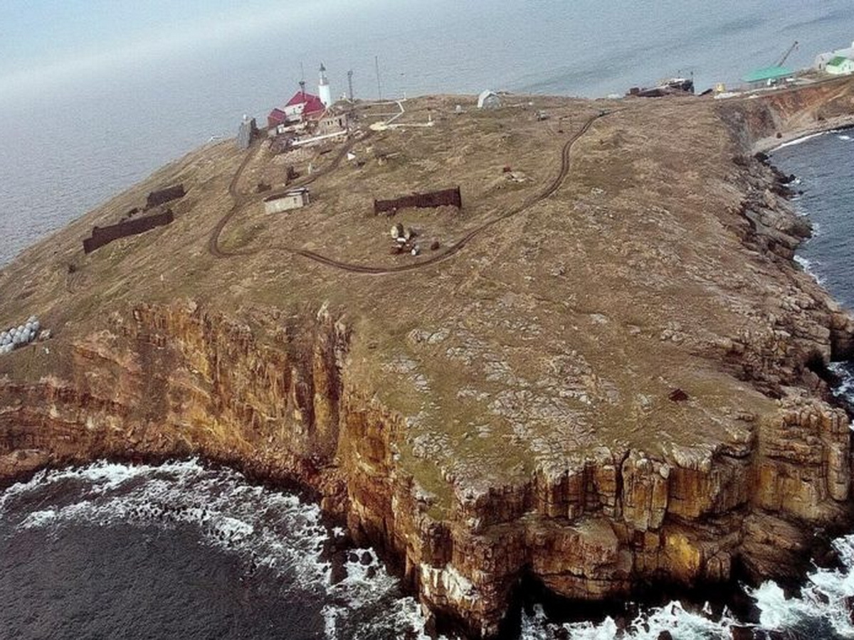 Подробные фотографии. Остров змеиный 2022. Остров змеиный со спутника. Снимок острова змеиный. Остров змеиный флаг России.